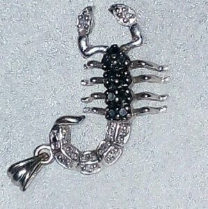 Scorpion Charm (NECKLACE)